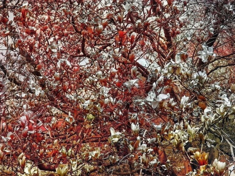 Pace Gallery. Opening Soon: Trevor Paglen in London