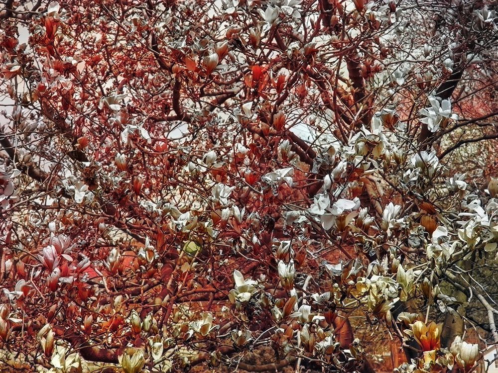 Pace Gallery. Opening Soon: Trevor Paglen in London