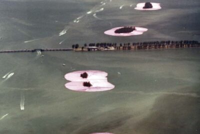 Online Artist Documentary Film Series. Pace Gallery