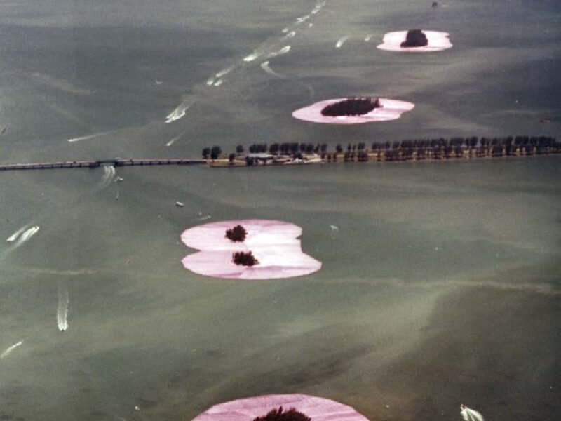 Online Artist Documentary Film Series. Pace Gallery