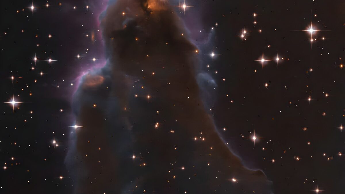 A Special Stellar Nursery