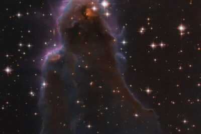 A Special Stellar Nursery