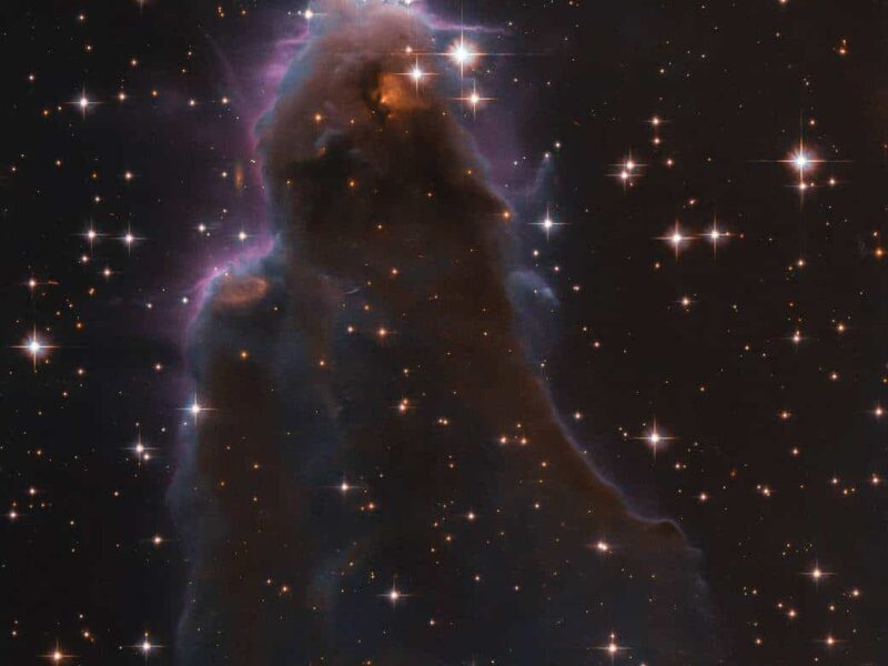 A Special Stellar Nursery