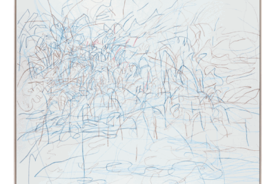 Paris Exhibitions. Sean Kelly Gallery. Janaina Tschäpe Musée de l’Orangerie