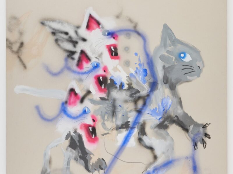 Robert Nava Joins Pace Gallery