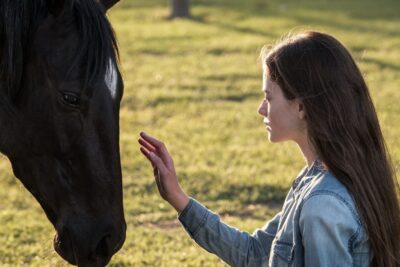 Black Beauty (2020). Película Disney. Crítica