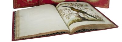 Shapero launches exciting Emporium with incredible cornucopia of objects from various renowned dealers and gallerists