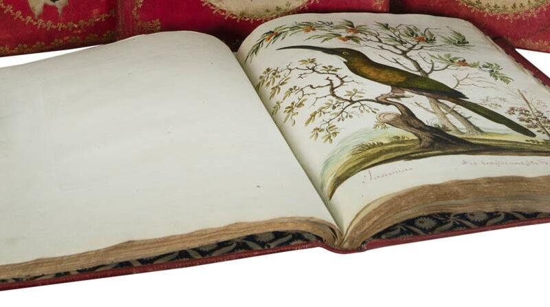 Shapero launches exciting Emporium with incredible cornucopia of objects from various renowned dealers and gallerists