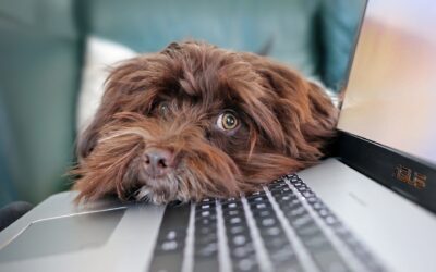 Sincronizar Datos de un servidor a otro con rsync (Linux)