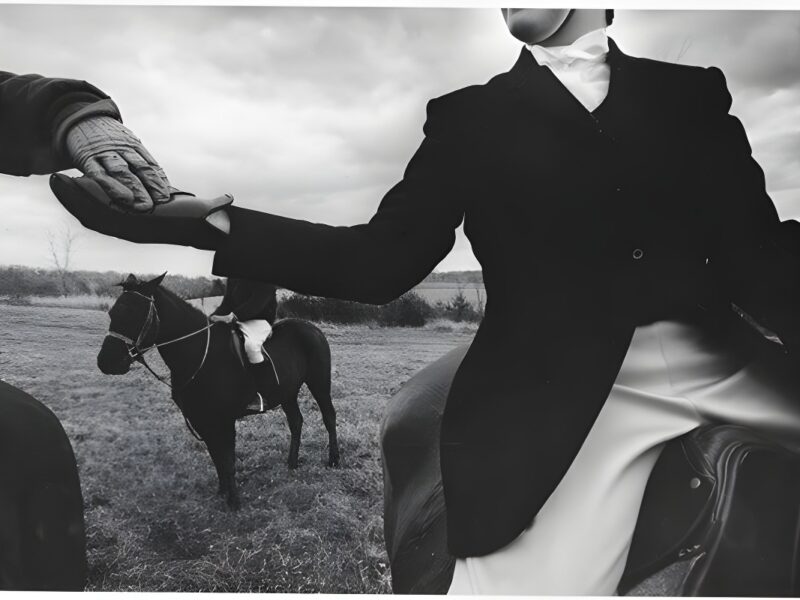 Online Exhibitions. On Photographs. Robert Klein Gallery