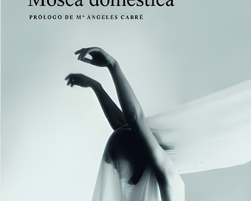 Mosca Doméstica, un Libro sobre el Deseo Sexual Femenino de Matilde Obradors