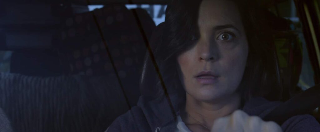 Alone (2020), de John Hyams. Crítica