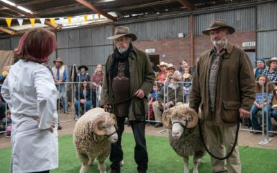 Rams (2020). Estreno Febrero 2021. Trailer