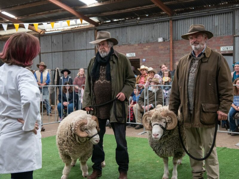 Rams (2020). Estreno Febrero 2021. Trailer