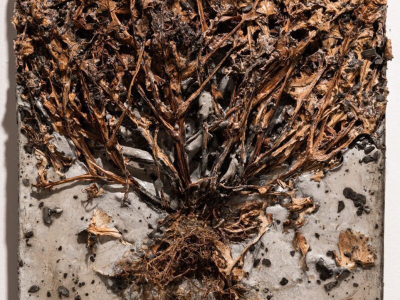 Sapar Contemporary Incubator presents Aida Mahmudova: PASTPRESENTFUTURE