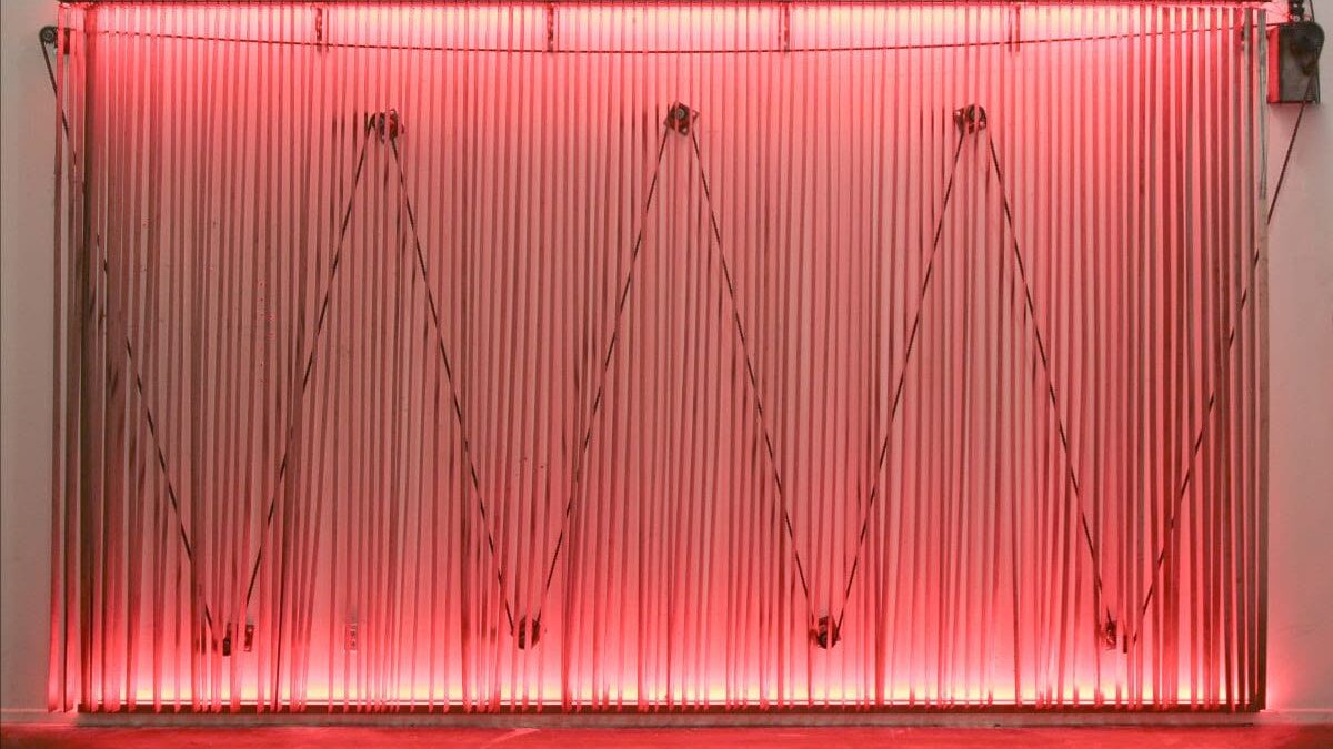 Stephen Neidich: five more minutes please, opens February 13th. Wilding Cran Gallery