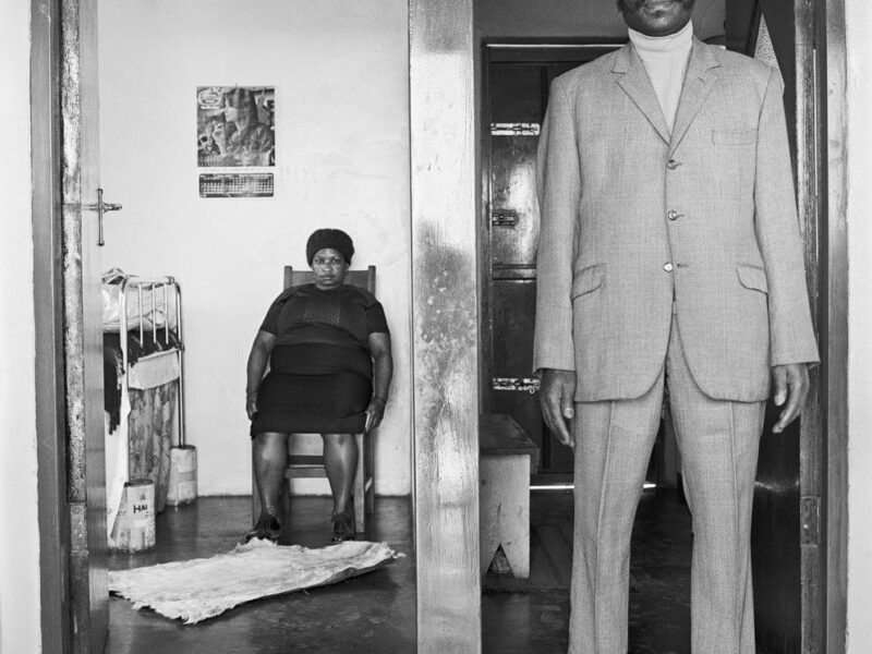 NYC Exhibitions. Pace. David Goldblatt. Strange Instrument