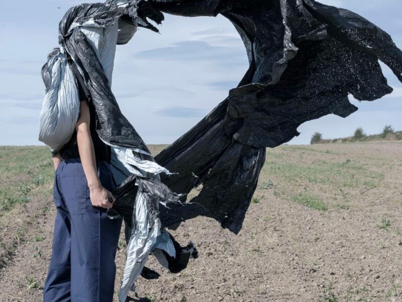 Jack Shainman Gallery. February 25: Jackie Nickerson. NYC Exhibitions