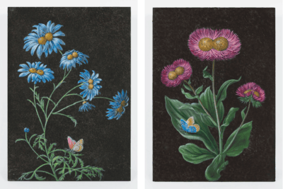 French artist Laurent Grasso’s first solo show at Perrotin Hong Kong opens on March 20