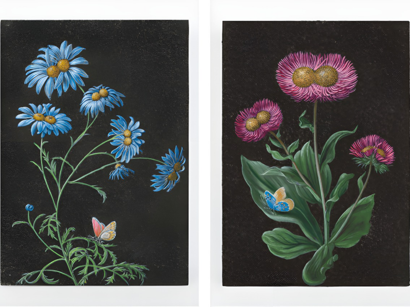 French artist Laurent Grasso’s first solo show at Perrotin Hong Kong opens on March 20
