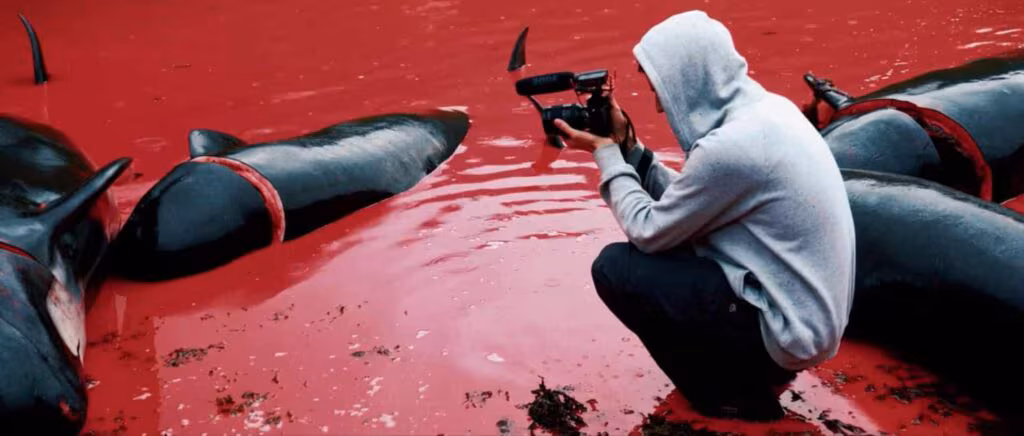 Seaspiracy: La pesca insostenible (2021)