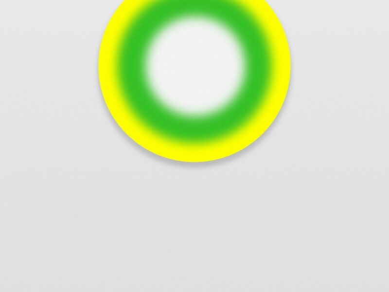 Collaborative Group Show between TARO NASU & Esther Schipper. Simon Fujiwara, Ryan Gander, Liam Gillick, Pierre Huyghe, Philippe Parreno, Ugo Rondinone