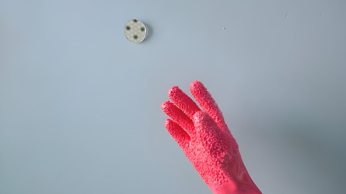 High Touch | Exhibition Opens March 21 at John Michael Kohler Arts Center
