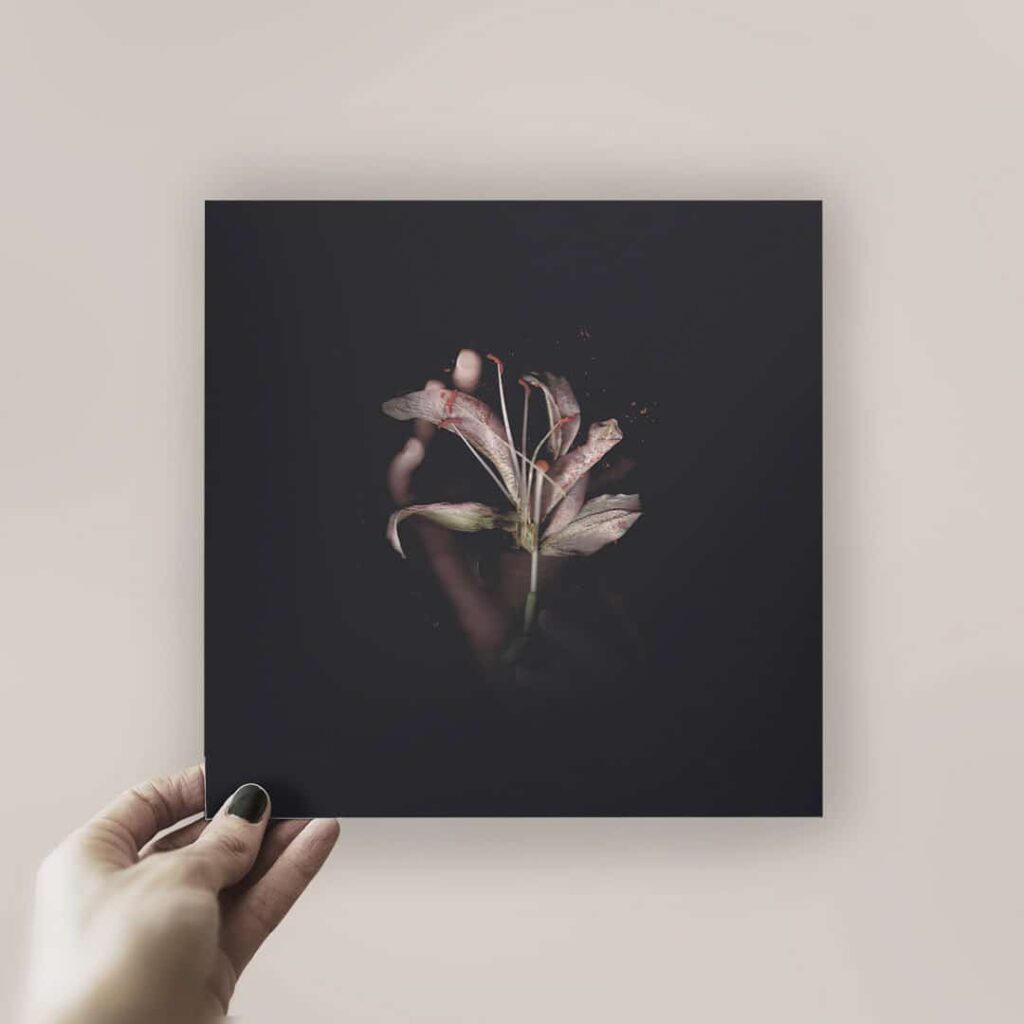 Daniel Blacksmith estrena videoclip. Un baile de luz y formas