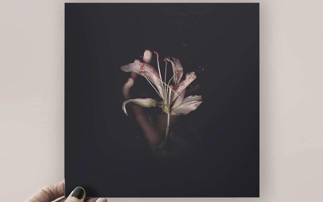 Daniel Blacksmith estrena videoclip. Un baile de luz y formas