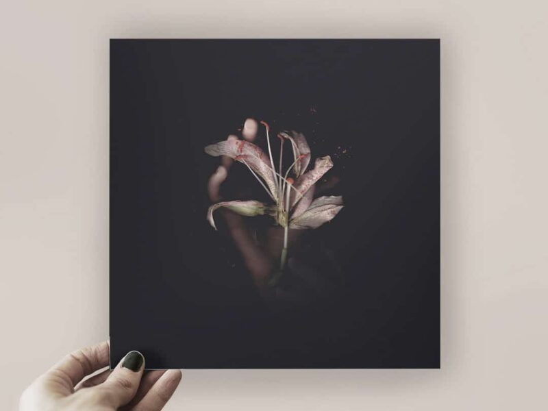 Daniel Blacksmith estrena videoclip. Un baile de luz y formas