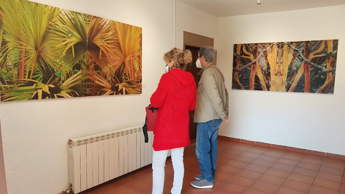 ABARTIUM Galería de Arte Expone «Naturaleza Artificial» de Ma-Ga, y «La sal de la tierra» de Macarena Sanz