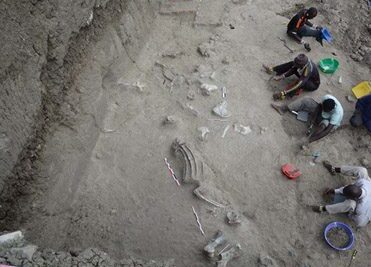 Dos Proyectos Sobre Evolución Humana Optan Al Premio Nacional De Arqueología Y Paleontología Fundació Palarq