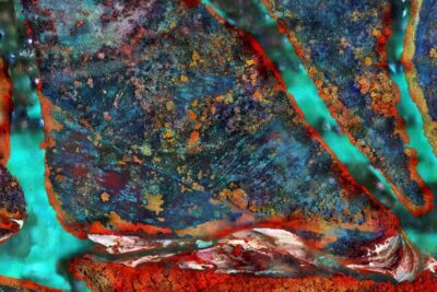 Richard Mosse, “Tristes Tropiques” . Jack Shainman Gallery