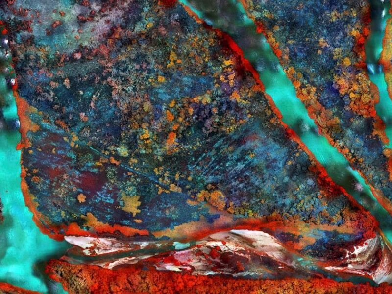 Richard Mosse, “Tristes Tropiques” . Jack Shainman Gallery