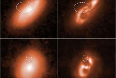 El Hubble Rastrea Ráfagas Rápidas de Radio Hasta los Brazos de Galaxias Espirales