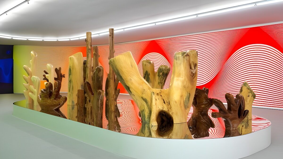 Claudia Comte. After Nature. Museo Nacional Thyssen-Bornemisza