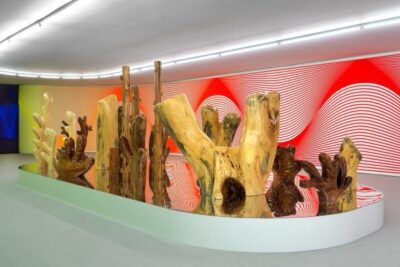 Claudia Comte. After Nature. Museo Nacional Thyssen-Bornemisza