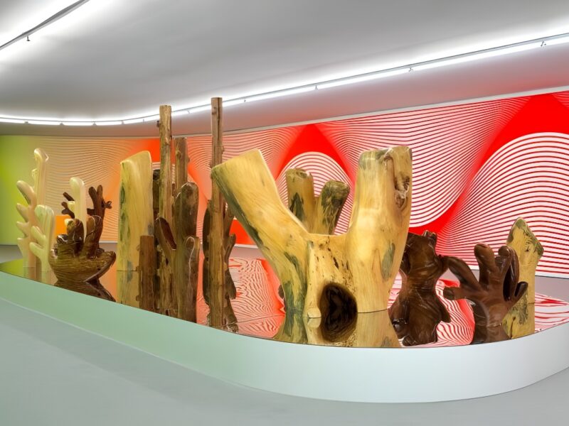 Claudia Comte. After Nature. Museo Nacional Thyssen-Bornemisza