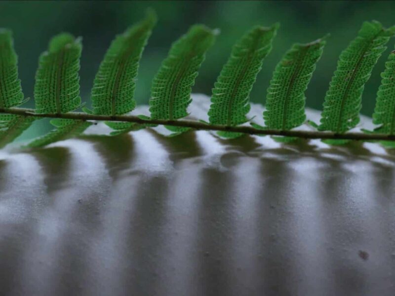 Zheng Bo at Liverpool Biennial 2021. Edouard Malingue Gallery