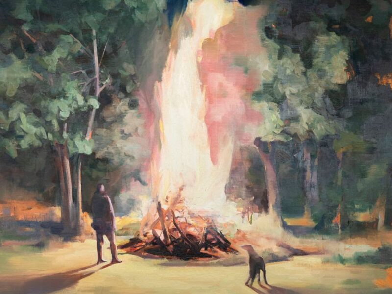 Tai Shan Schierenberg exhibition at Flowers Gallery this June. London