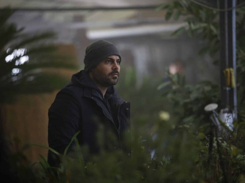 Seguridad (2021). Estreno en Netflix. Crítica de la Película