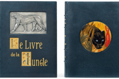 Exceptionnel ensemble de livres illustrés