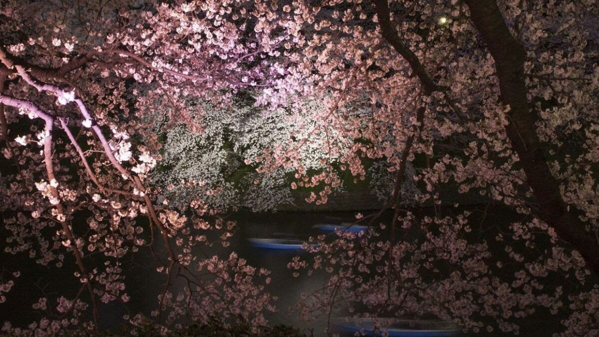 Ori Gersht: Evaporation. Talley Dunn Gallery. Dallas