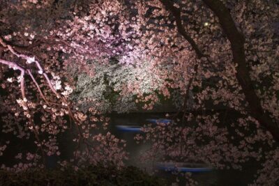 Ori Gersht: Evaporation. Talley Dunn Gallery. Dallas