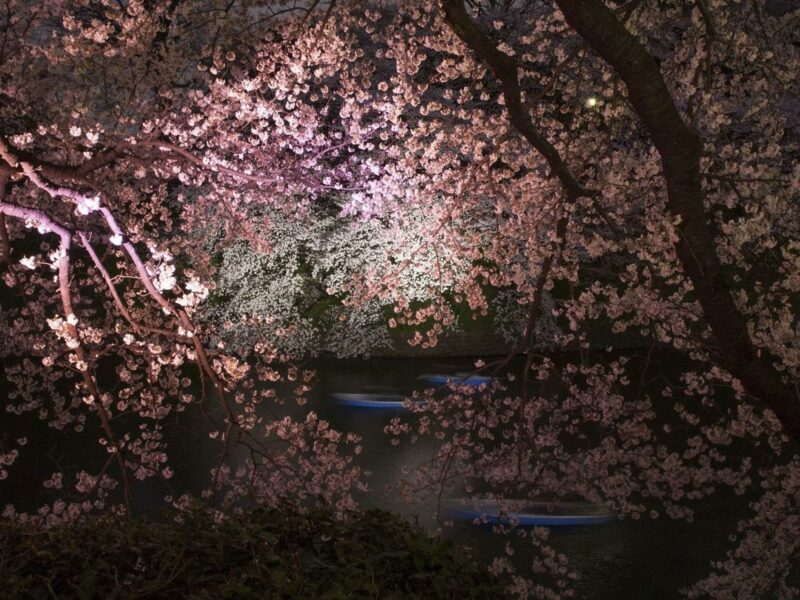 Ori Gersht: Evaporation. Talley Dunn Gallery. Dallas