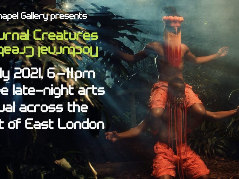 Nocturnal Creatures 2021. Whitechapel Gallery. London