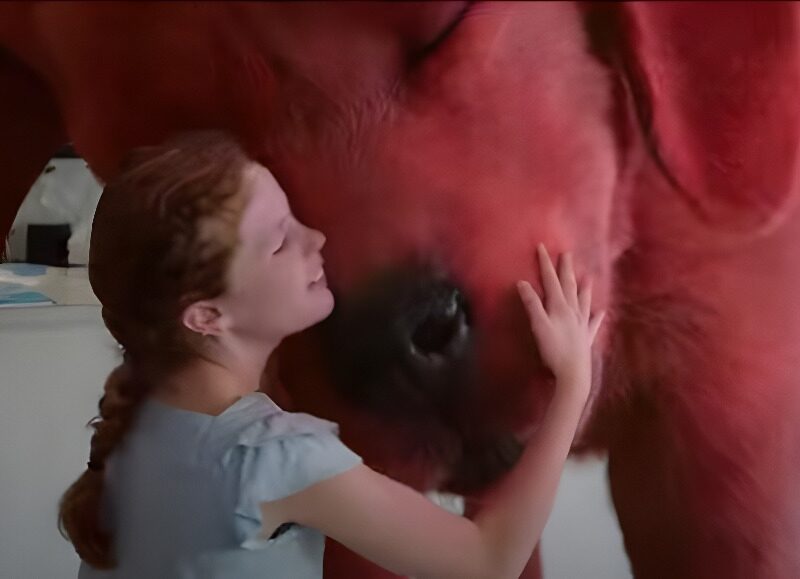 Estreno Septiembre: Clifford, el Gran Perro Rojo (2021). Trailer Película