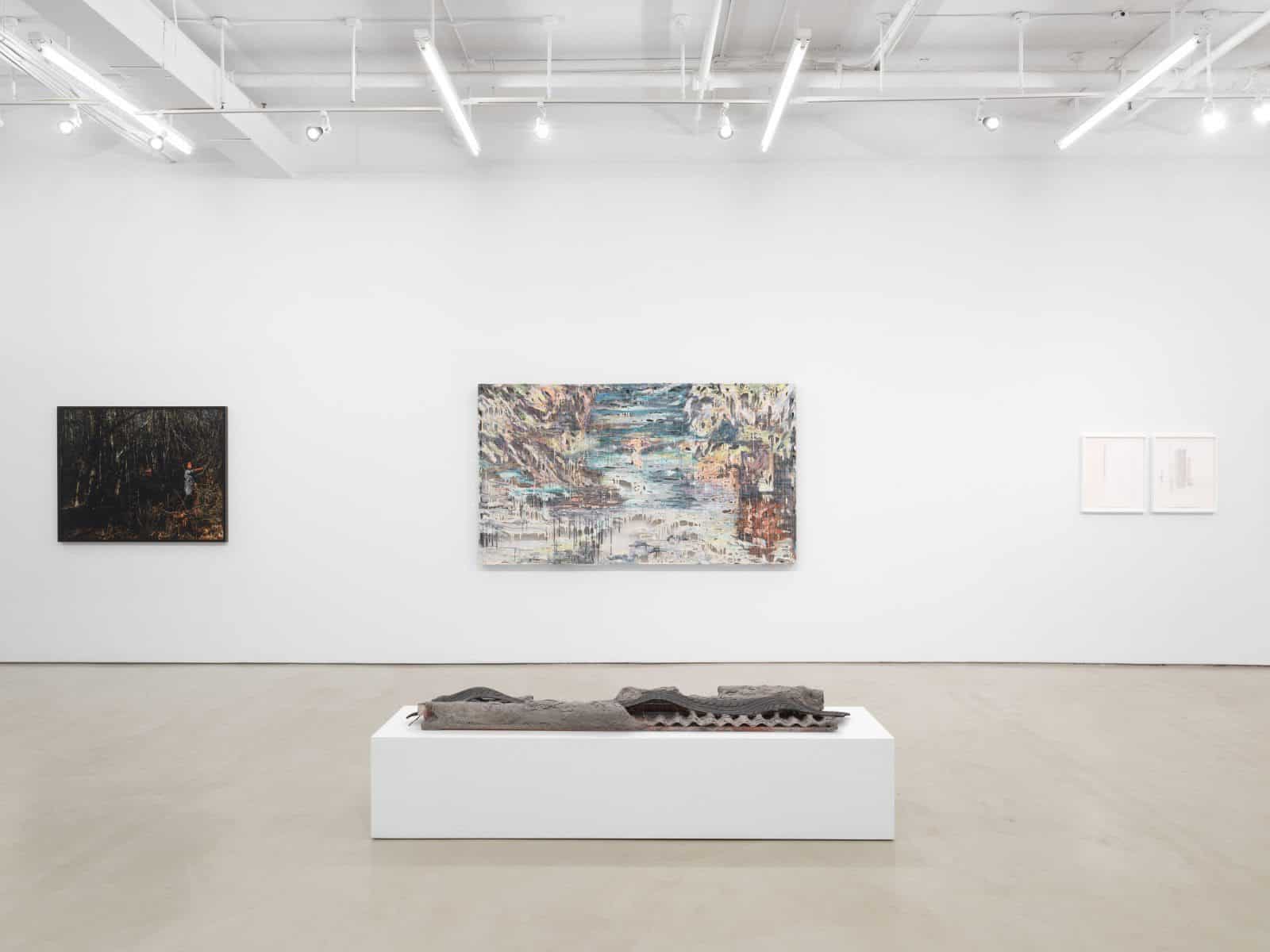 Subliminal Horizons. Alexander Gray Associates. NYC
