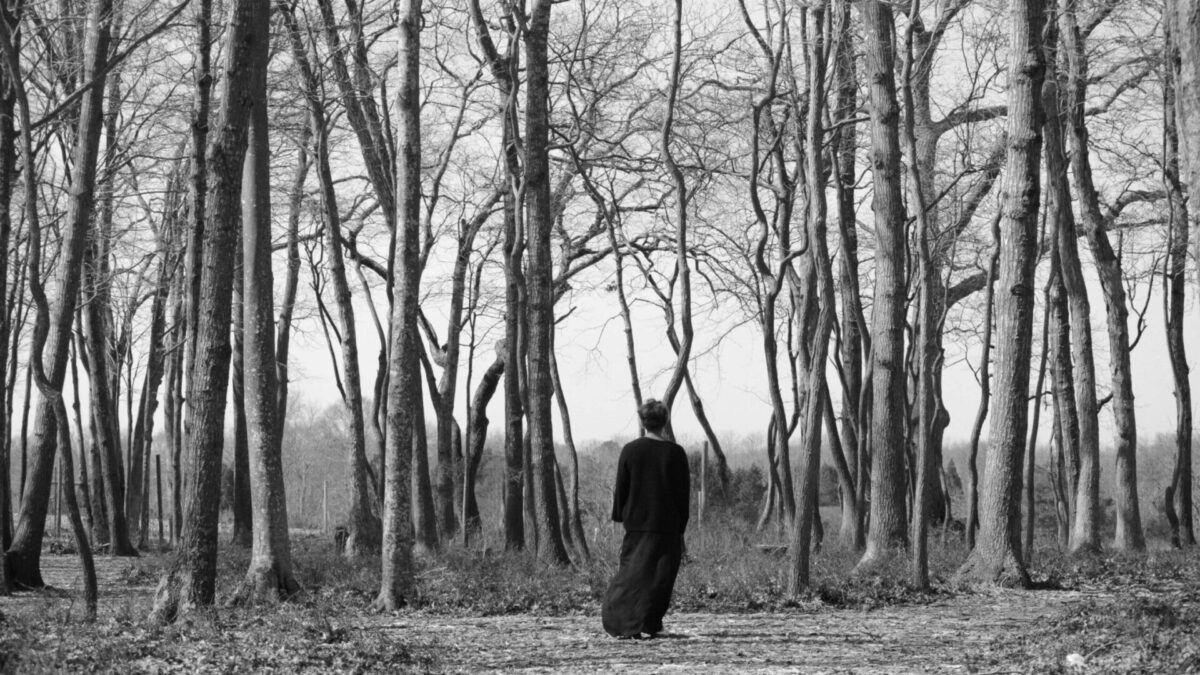 The Watermill Center Announces Crossroads Summer Festival: Led by Carrie Mae Weems and Robert Wilson