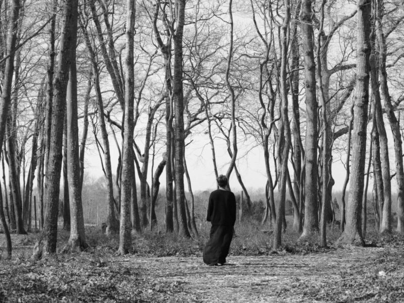 The Watermill Center Announces Crossroads Summer Festival: Led by Carrie Mae Weems and Robert Wilson